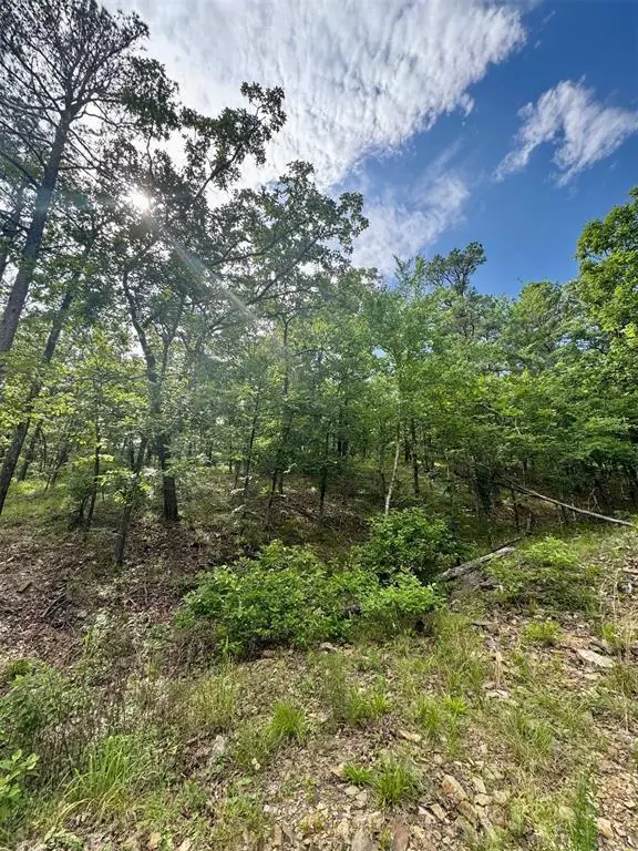 143 Western Cedar Trail, Broken Bow, OK 74728 - Image #3