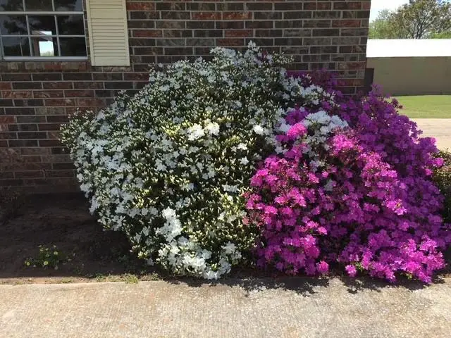 6820 SW 134th Street, Oklahoma City, OK 73173 - Image #3