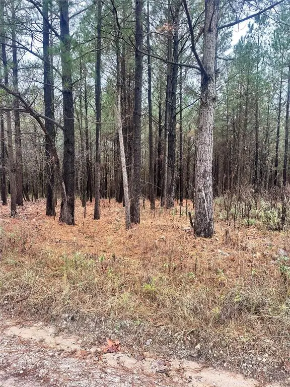 000 Sugarberry Trail, Broken Bow, OK 74728 - Image #2