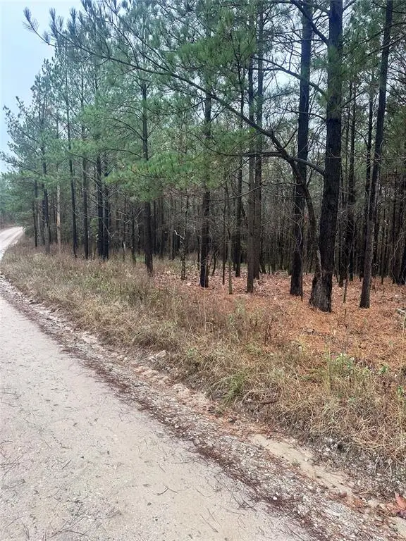 000 Sugarberry Trail, Broken Bow, OK 74728 - Image #3