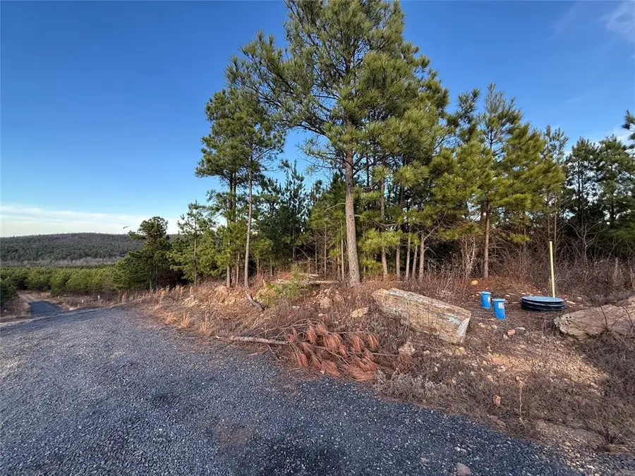 333 Overcup Oak Trail, Broken Bow, OK 74728 - Image #3