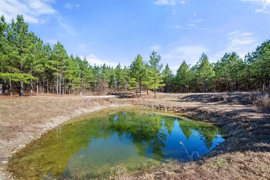 64 Pine Root Court, Broken Bow, OK 74728 - Image #3