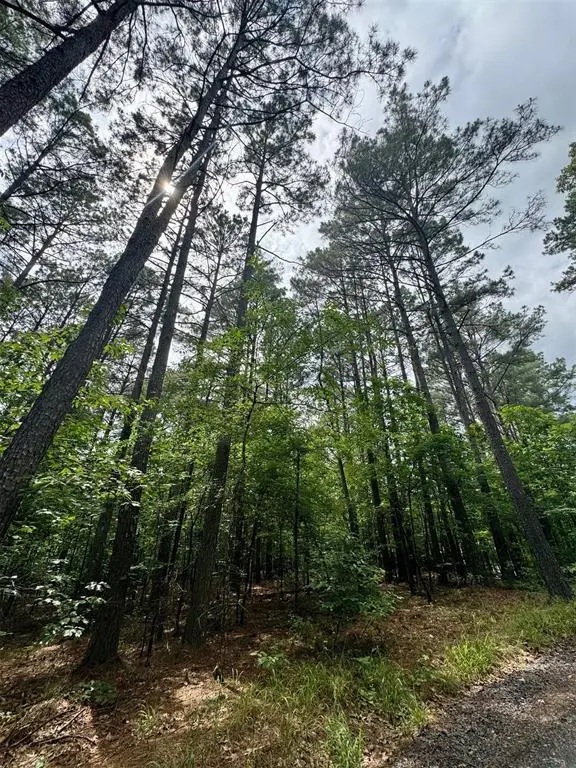 26 Mangrove Road, Broken Bow, OK 74728 - Image #3