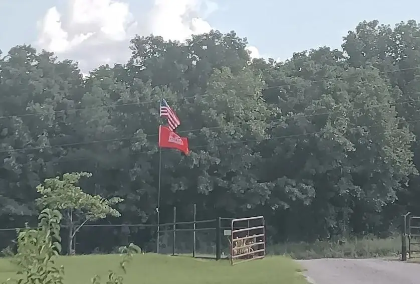 34603 Pinehill Road, Bristow, OK 74010 - Image #3