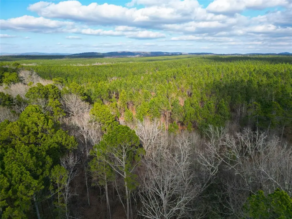 623 Johnny Beavers Trail Road, Broken Bow, OK 74728 - Image #1