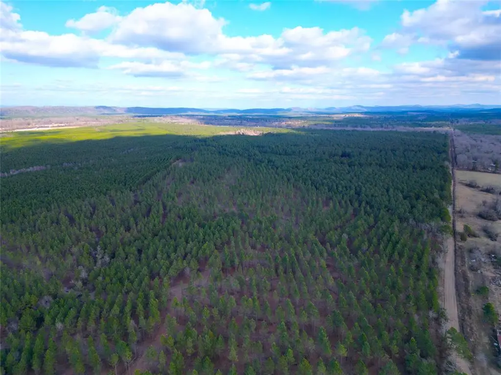 60 Johnny Beavers Loop, Broken Bow, OK 74728 - Image #1