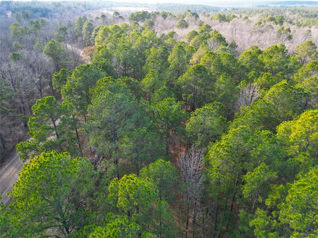 653 Johnny Beavers Trail Road, Broken Bow, OK 74728 - Image #1