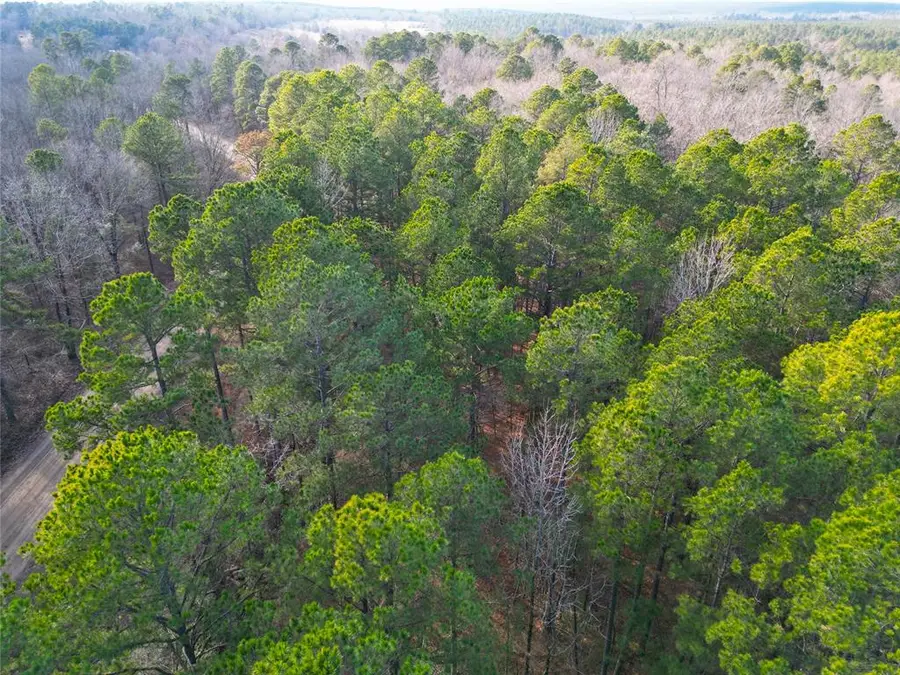 753 Johnny Beavers Trail Road, Broken Bow, OK 74728 - Image #3