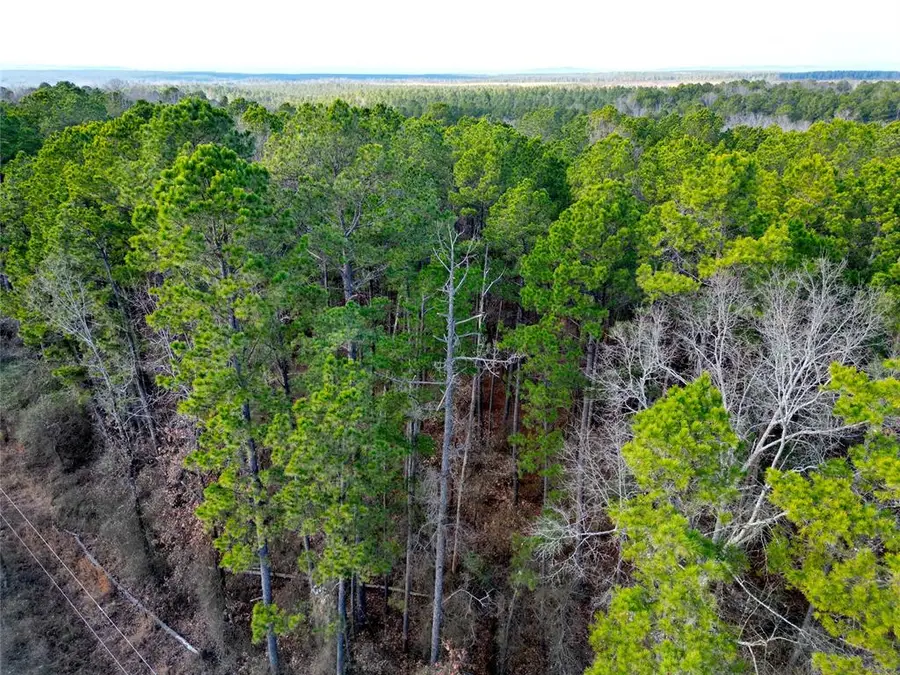 776 Johnny Beavers Trail Road, Broken Bow, OK 74728 - #3