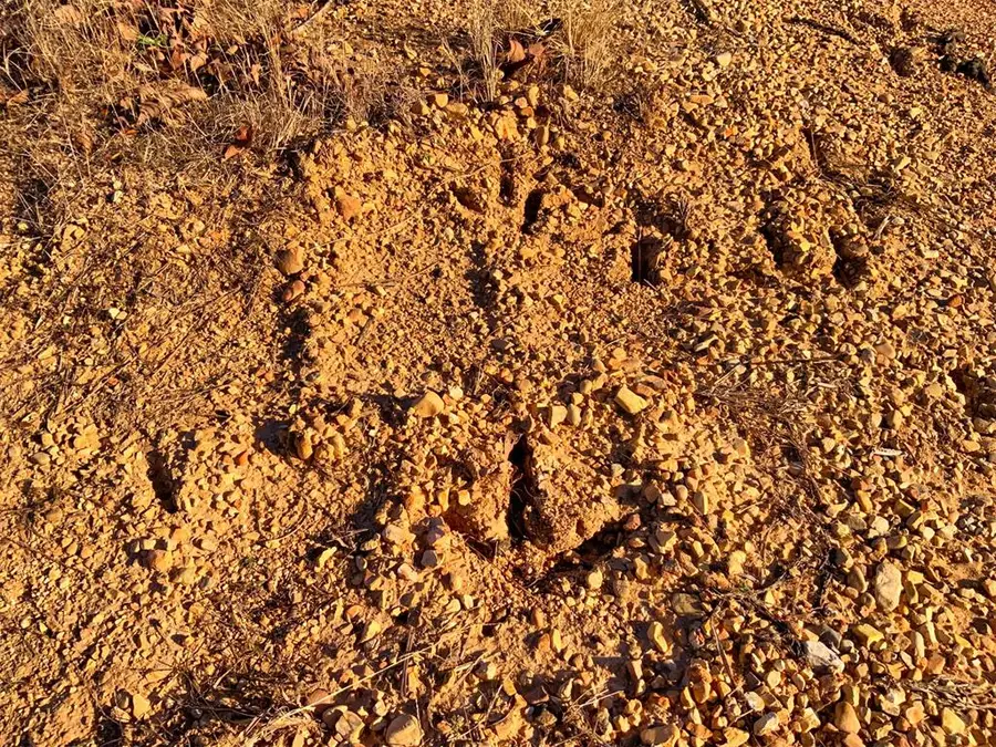 12100 Ns 362 Road, Wewoka, OK 74884 - Image #3