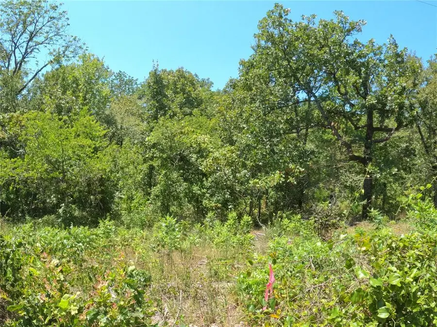 Roughleaf Road, Wright City, OK 74766 - #2