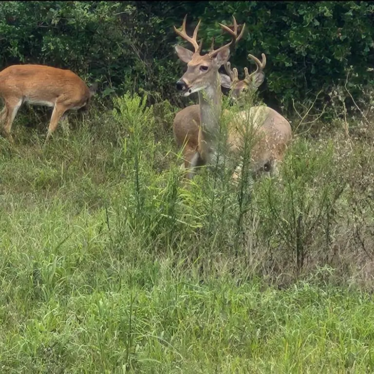 116 County Road 1170, Minco, OK 73059 - #2