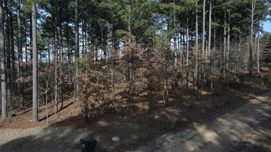 430 Bass Cat Trail, Broken Bow, OK 74728 - #3