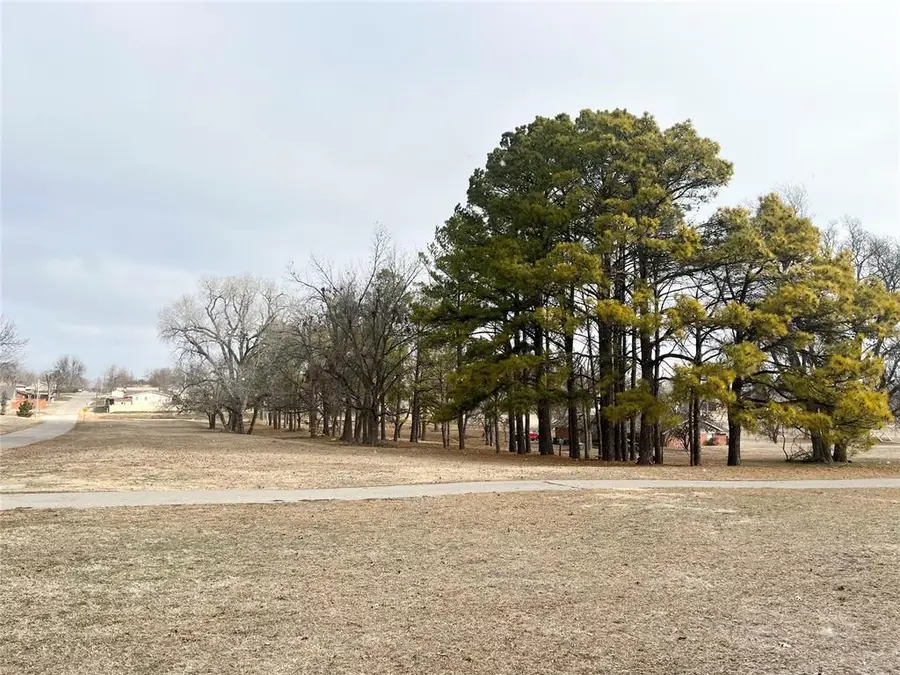 S 13 Street, Chickasha, OK 73018 - #3
