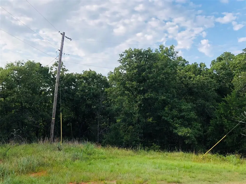 19454 Oakridge Drive, Lexington, OK 73051 - #1