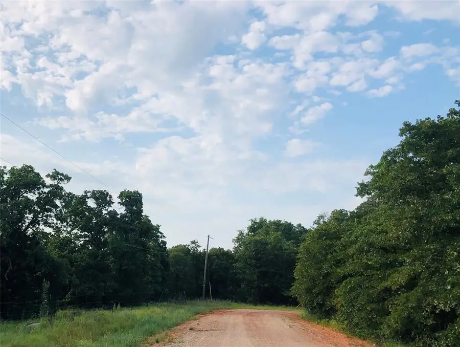 19454 Oakridge Drive, Lexington, OK 73051 - #3