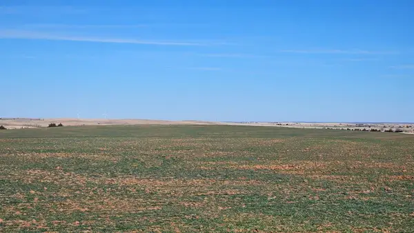 Address Withheld By Seller, Seiling, OK 73859