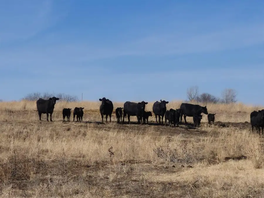 25906 E H Holden Road, Kremlin, OK 73753 - #2