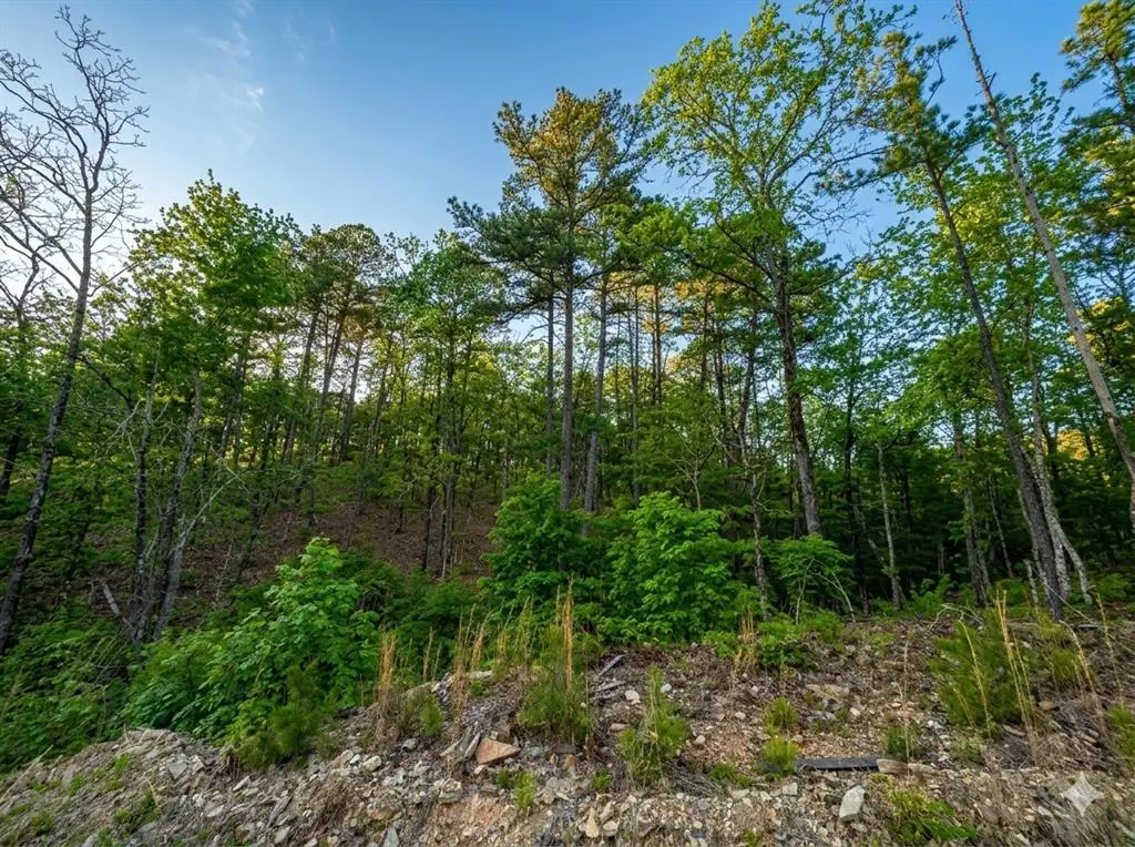 63 Western Cedar Trail, Broken Bow, OK 74728 - #1