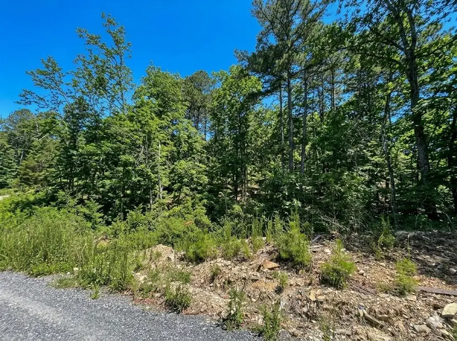 63 Western Cedar Trail, Broken Bow, OK 74728 - #3