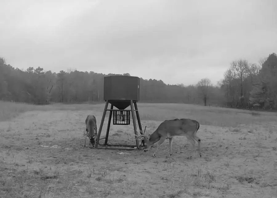 6536 Hudson Creek, Watson, OK 74957 - #2