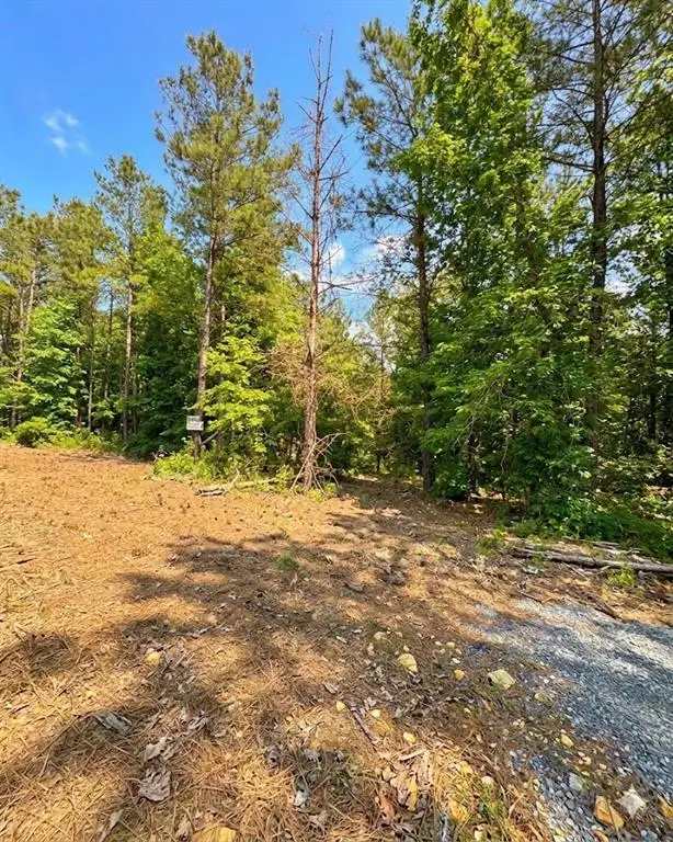 122 Southern Locust Trail, Broken Bow, OK 74728 - #2