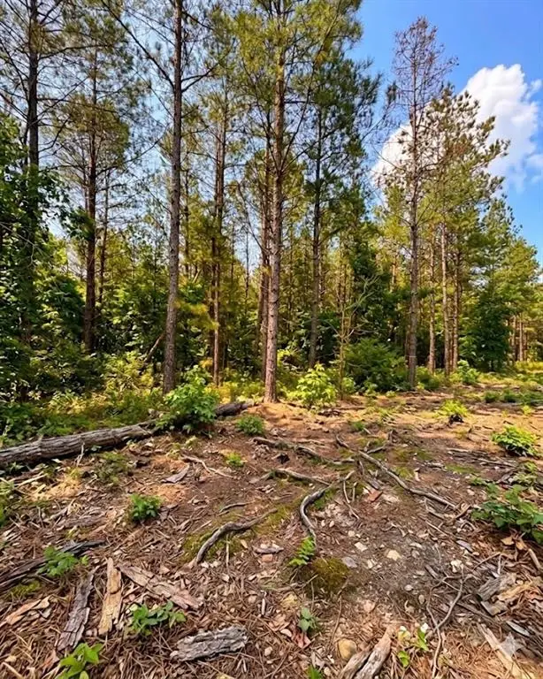 122 Southern Locust Trail, Broken Bow, OK 74728 - #3