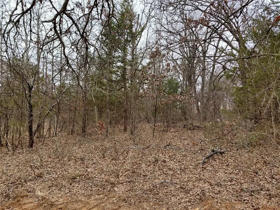 Arcadia Court, Guthrie, OK 73044 - #3