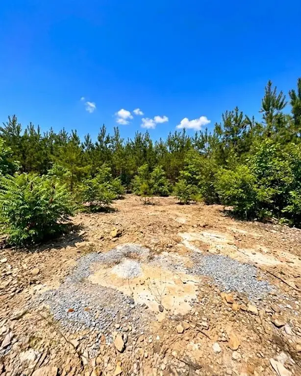 68 Southern Spruce Trail, Broken Bow, OK 74728 - #2