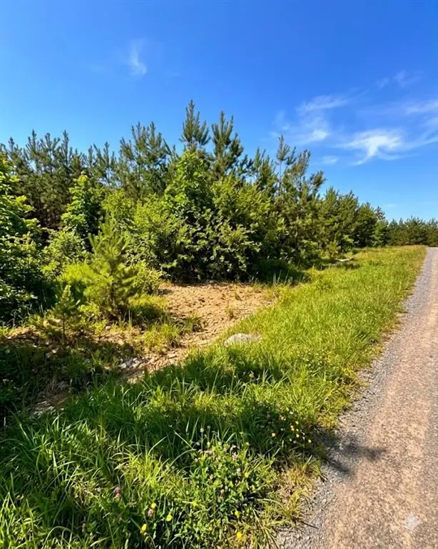 68 Southern Spruce Trail, Broken Bow, OK 74728 - #3