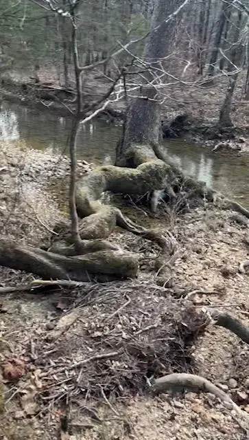 89 Middle Meddock Lane, Broken Bow, OK 74728 - #2