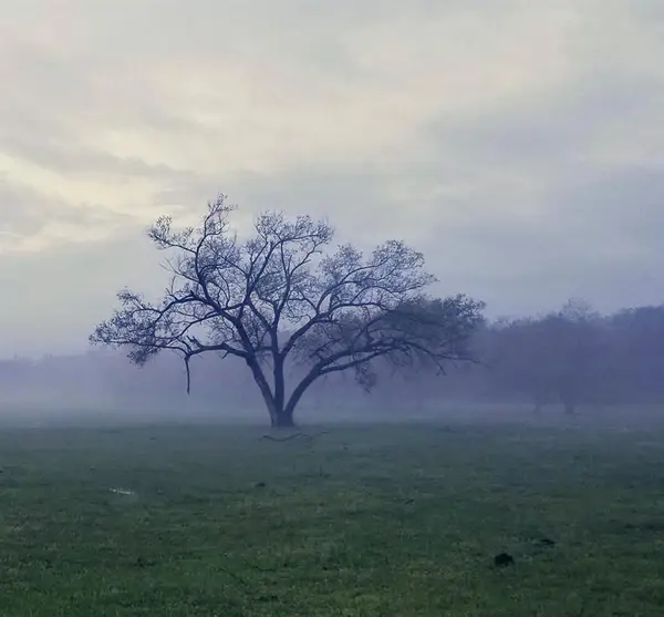 990815 S 3293 Road, Harrah, OK 73045