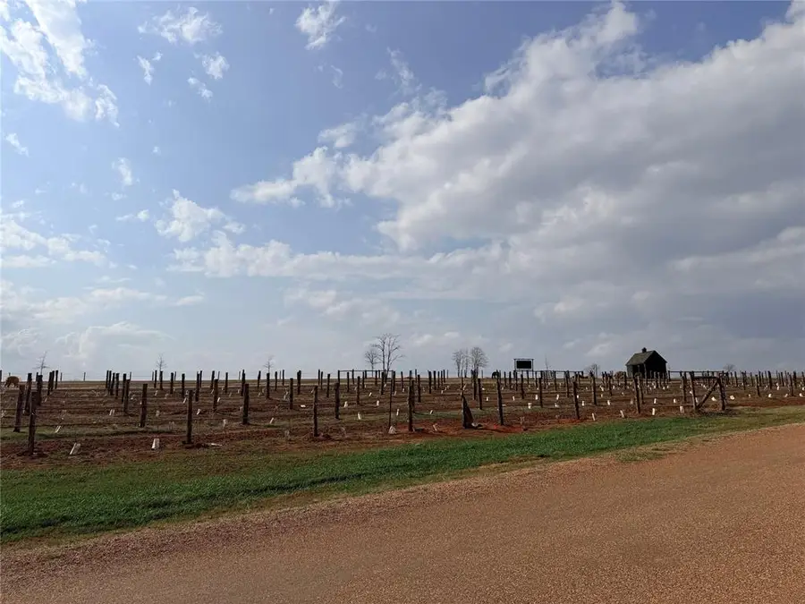 Vineyard Meadow Road, Norman, OK 73072 - #2