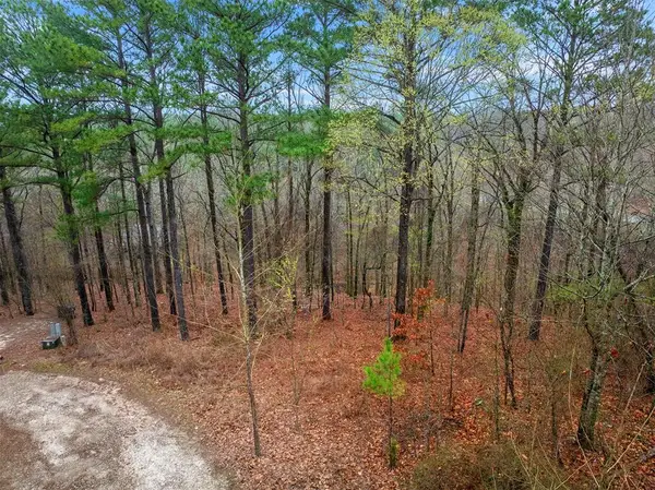 685 Long Pine Trail, Broken Bow, OK 74728