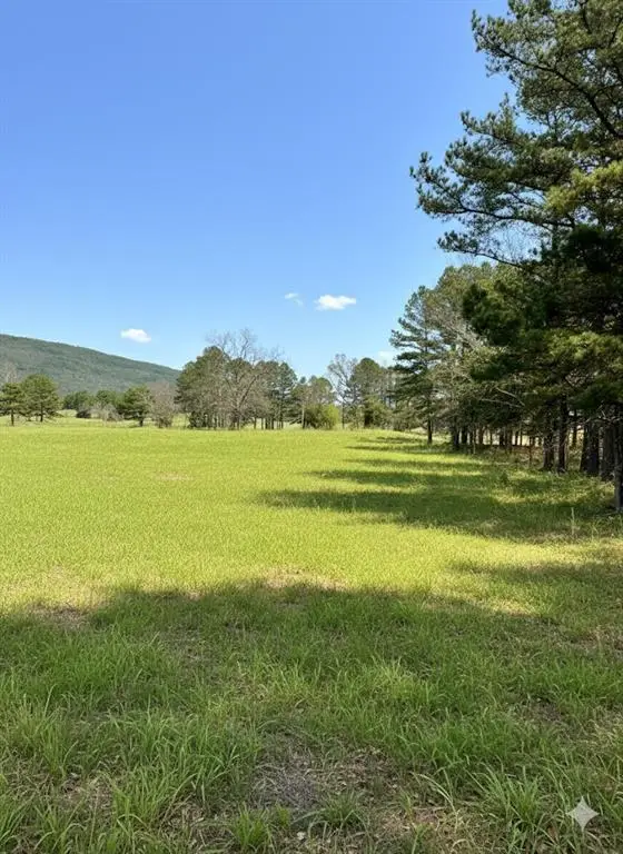 SE Hwy 63, Talihina, OK 74571 - #2