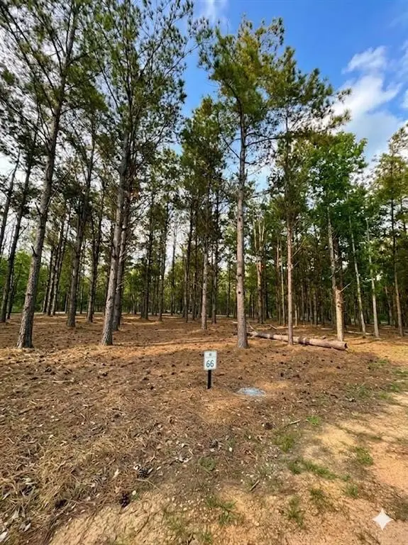 245 Green Mallard Trail, Broken Bow, OK 74728 - #2