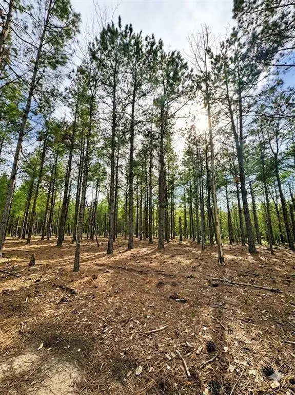 245 Green Mallard Trail, Broken Bow, OK 74728 - #3