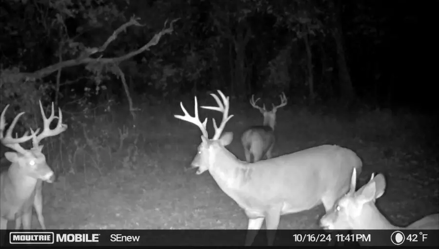 0000 Camelback Road, Elmore City, OK 73433 - #2