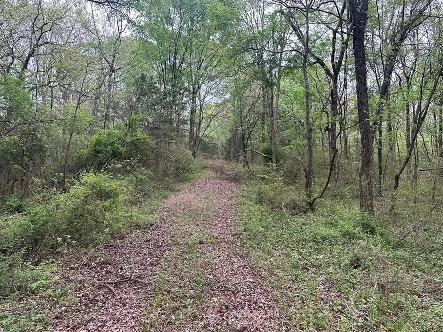 226 Butler Pool Road, Idabel, OK 74745 - #2