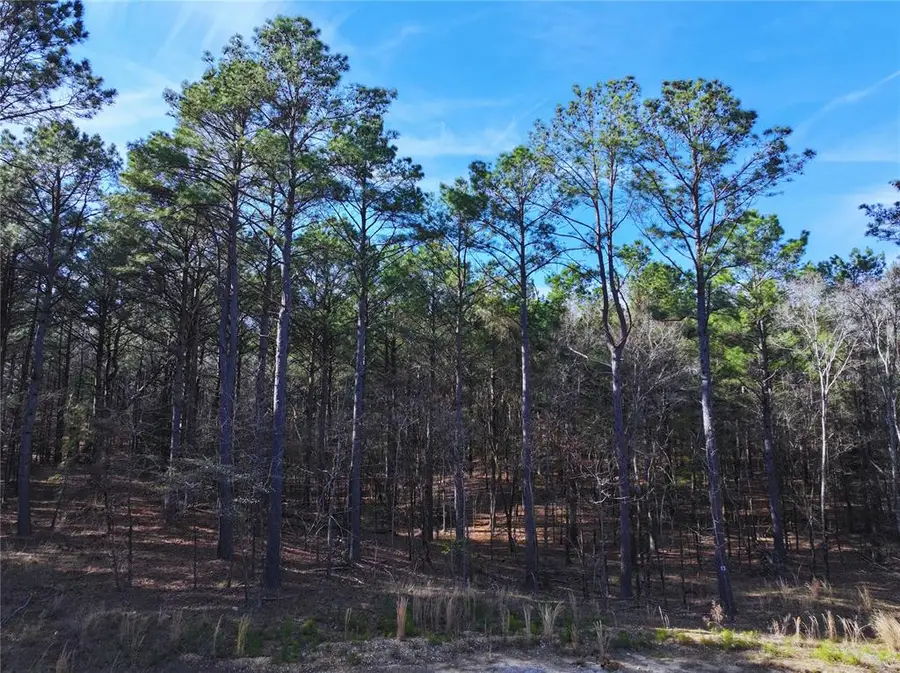 108 Hills Creek Trail, Broken Bow, OK 74728 - #3