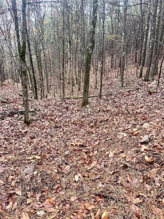 01235 Sugarberry Trail, Broken Bow, OK 74728 - #2