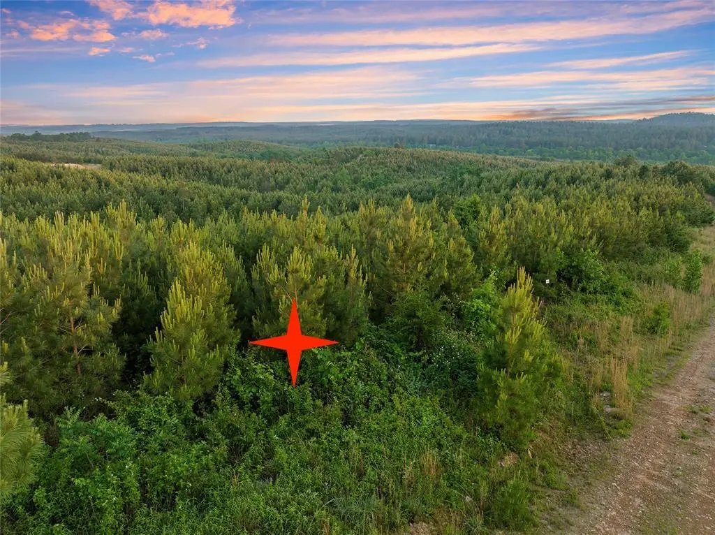 392 Overcup Oak Trail, Broken Bow, OK 74728 - #1