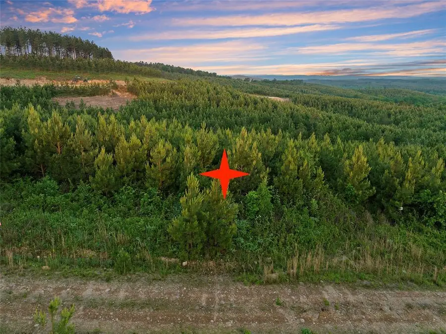 392 Overcup Oak Trail, Broken Bow, OK 74728 - #3