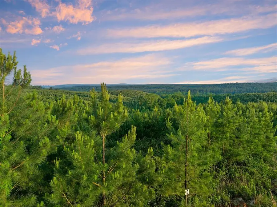 27 Scarlet Oak Trail, Broken Bow, OK 74728 - #2