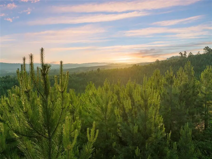 403 Monterey Oak Trail, Broken Bow, OK 74728 - #2