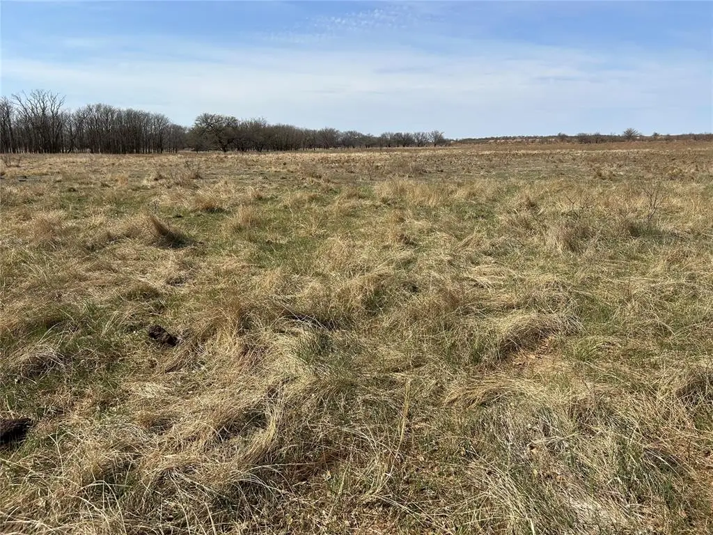 0 E Cr 1410 Road, Mangum, OK 73554 - #1