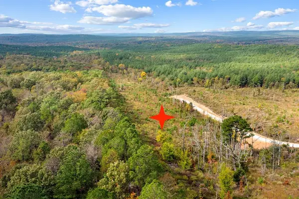 48 Rose Tree Trail, Broken Bow, OK 74728