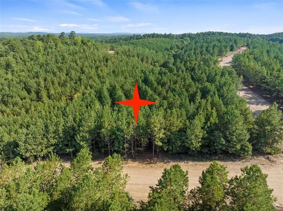 163 Legacy Pine Trail, Broken Bow, OK 74728 - #2