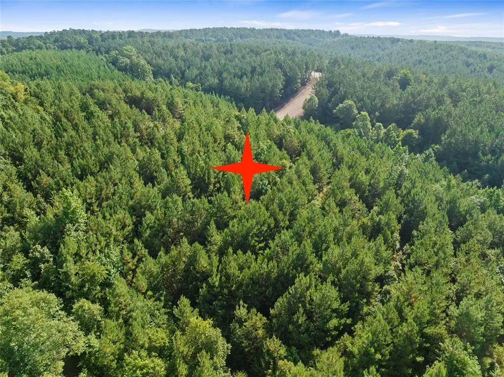 86 Legacy Point Trail, Broken Bow, OK 74728 - #1