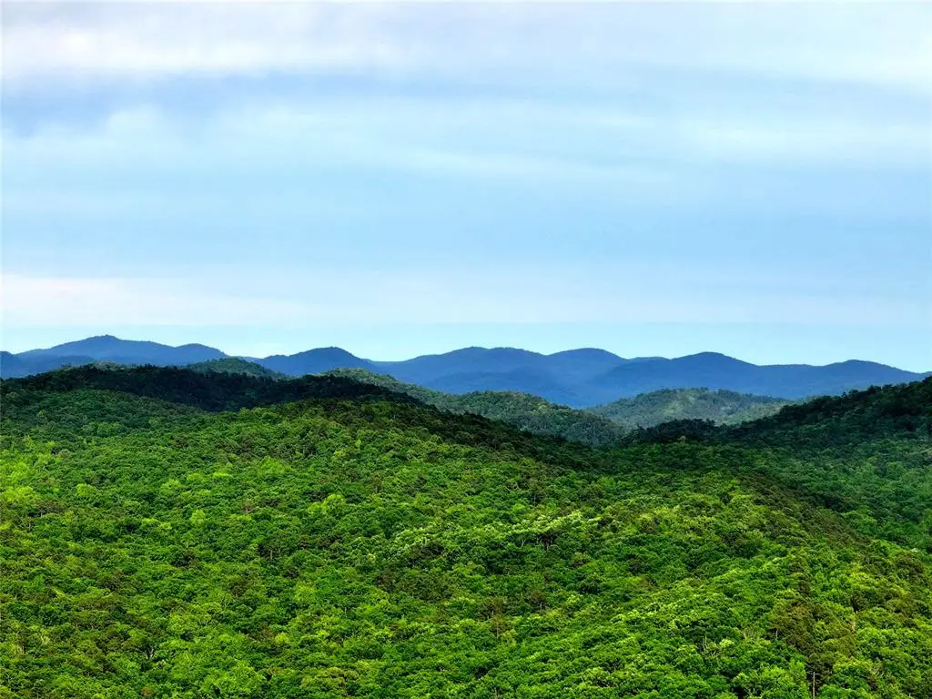 22 Ibis Pond Trail, Broken Bow, OK 74728 - #1